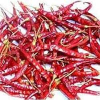 Dried Red Chilli